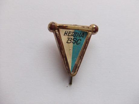 Voetbalvaantje Hertha BSC